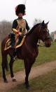 Dolman du colonel-major Lefebvre Desnouettes des chasseurs à cheval de la garde