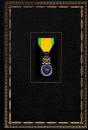 La médaille militaire, M Massian. Charles Lavauzelle
