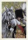 Tenue de colonel général de chasseur à cheval - Modèle à la hussarde