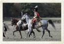 Tenue de colonel général de chasseur à cheval - Modèle à la hussarde