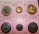 Rare planche de 64 boutons de chasse, moins de 2 € du bouton!