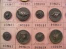 Rare planche de 64 boutons de chasse, moins de 2 € du bouton!
