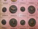 Rare planche de 64 boutons de chasse, moins de 2 € du bouton!