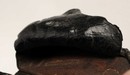 Etui jambon pour revolver 1892