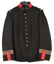 Commandant 126e de ligne. Tunique Mle 1893 modifiée 11