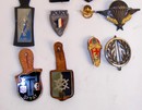Lot 17 fourragères + 14 insignes