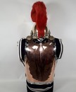Fraise pour cuirasse d'officier de carabinier, prix pour la fraise seule.