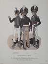  Lot de 401 planches: Military uniforms of America (337) + Mackinac...(13)+ The american soldier (27)+ Riling and Lentz (11)+ divers (13)