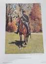  Lot de 401 planches: Military uniforms of America (337) + Mackinac...(13)+ The american soldier (27)+ Riling and Lentz (11)+ divers (13)