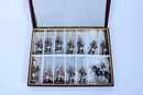 Coffret Lucotte - 27 ème régiment de dragons à pied 12 piétons et un cavalier  