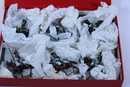 Lot de 6 chevau légers du 5 ème régiment.