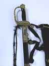 Sabre d'officier subalterne de marine, pliure marquée au fourreau, avec dragonne, et ceinturon