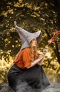 Chapeau de sorcière Glinda
