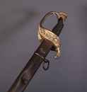 Sabre d'officier d'infanterie type 1855 modifié 1882, Grande Guerre, 14-18.