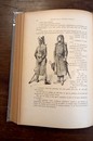 Francois Bûchamor. Récits de la Vieille France. Illustrations de Job. Texte Alfred Assolant