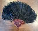 Éventail en plumes d'autruche noir. Belle époque