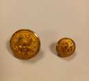 USA - Boutons dorés à coudre pour officier US marines. L'unité. Neuf de stock 