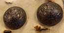 Boutons noircis pour les généraux. Grande Guerre. 1914-1918. 2 tailles