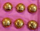 Boutons bombés des services de la marine, 14 mm. Vers 1900, neuf de stock. Prix à l'unité