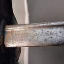 Lot de 2 sabres, dont un prussien pour l'escrime au sabre. En l'état.