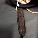 Shako d'officier d'infanterie de la garde, cuivreries du XIX ème siècle, d'origine.