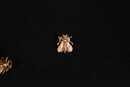 Epinglette abeille 18 x 20 mm - Fab. Française - L'unité