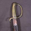 Sabre briquet, 