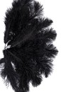 Plume d'autruche noire 50-60 cm - L'unité