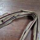 Ceinture de commandement. Allemagne impériale/Prusse, argent, noir, rouge