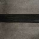 Galon 