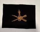 Insigne d'armurier maréchal des logis. Grande guerre. Fusils croisés et grenades séparées des canons. Or/noir 