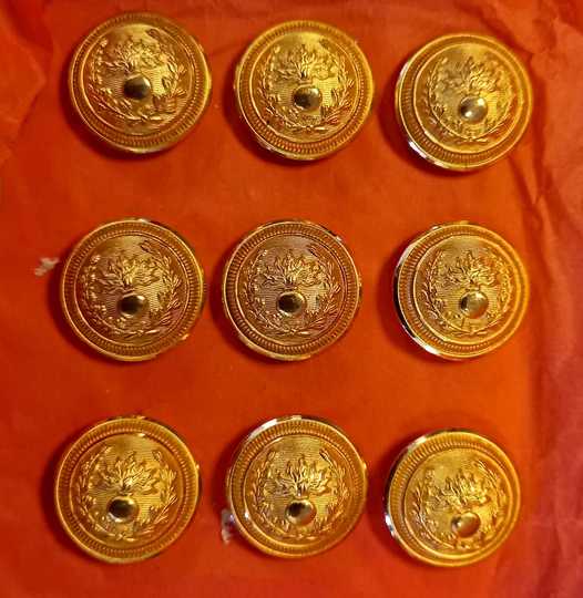 FRANCE - Très rare bouton d'officier supérieur d'administration coloniale - Stock très limité - Neuf de stock - L'unité