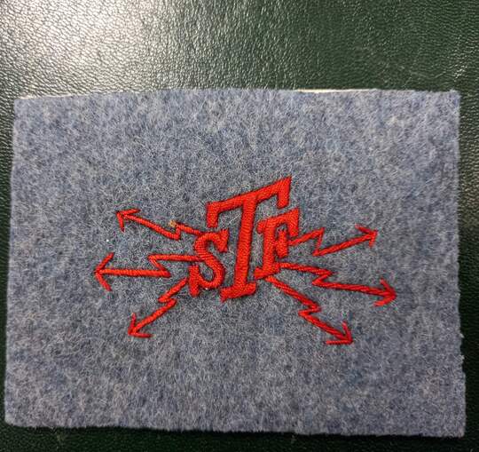 Insigne de TELEGRAPHE SANS FIL de l'infanterie, troupe. Lettres TSF rouges/bleu horizon