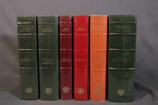 Lot de 6 livres des éditions académiques Perrin, par Castelot. Gallo, Garnière: Joséphine, Corvisart, famille Impériale, Robespierre...Etc